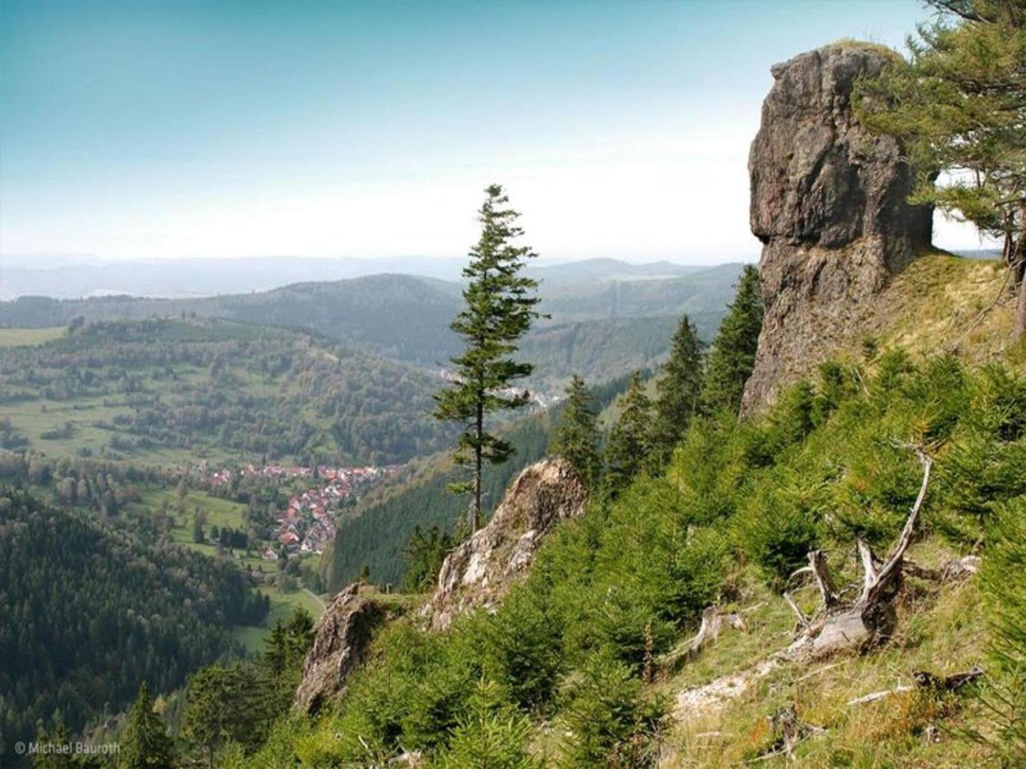 Vacation Home Am Hermannsberg, Oberschoenau Oberschonau Bagian luar foto